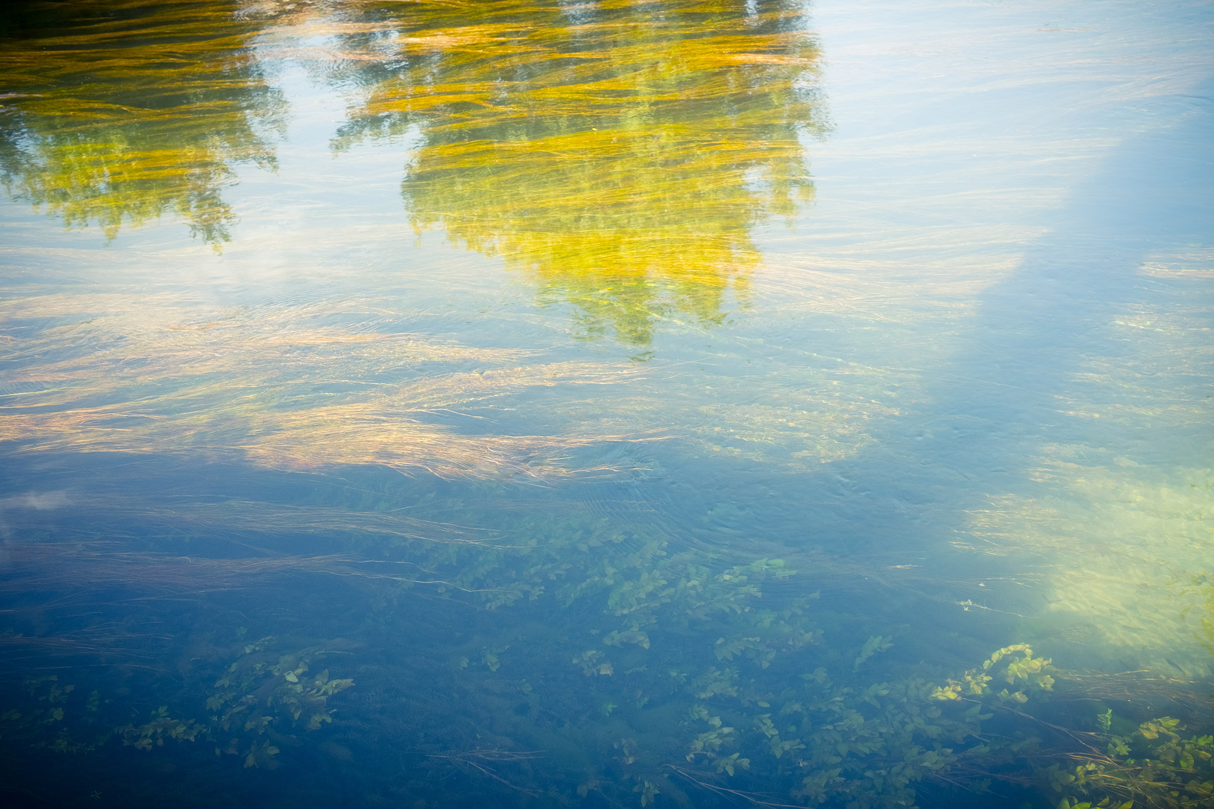 L’Isle-sur-la-Sorgue (FR), Shot 05