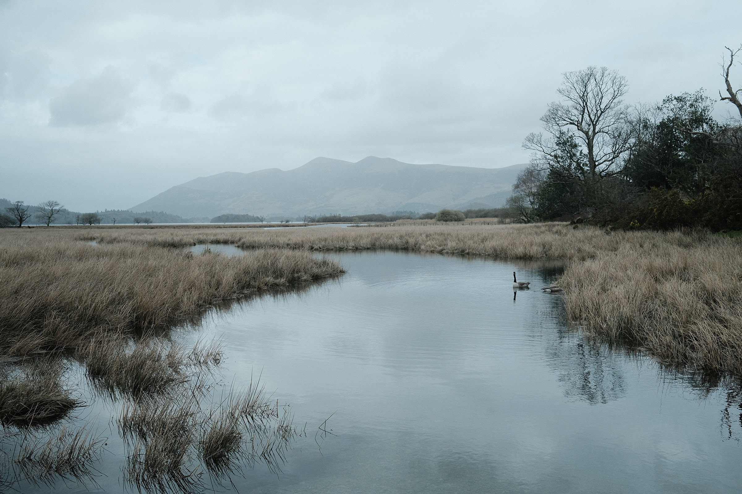 Lake District (UK) · Derwentwater