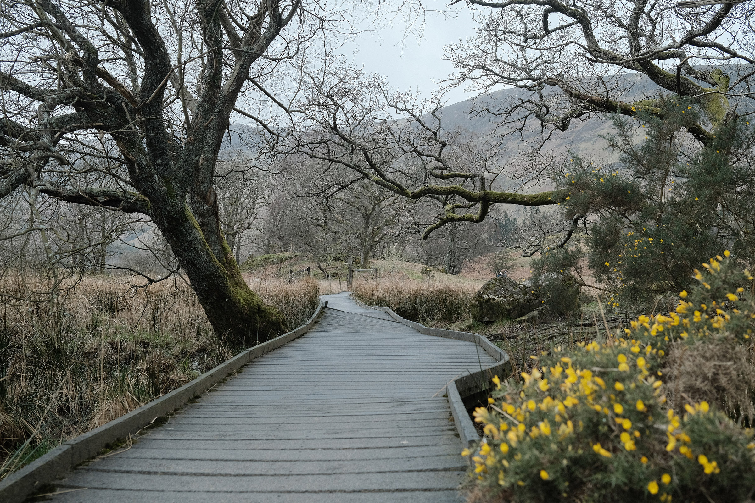 Lake District (UK) · Derwentwater, Shot 02
